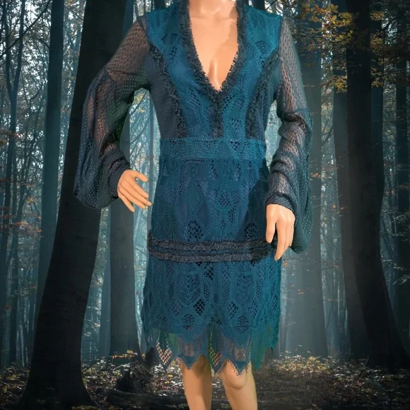 NWT $195 foxiedox | Gloria | Lace Dress with Sheer Arms in Sapphire & Teal Black - Picture 1 of 16